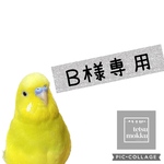 Ｂ様専用
