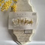 barrette /clear
