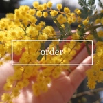 totebag   order page