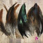 フェザー 羽 ナチュラルA 12枚セット 10-15cm 金具付き