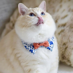 『ラ・プロヴァンス Blue』おめかし猫さんのための＊付け襟首輪