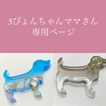 5ぴょんちゃんママさん専用ページ♥️