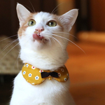 『いろはにほへと 辛子』おめかし猫さんのための付け襟首輪
