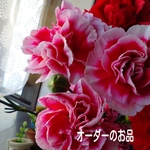 yukimiru 様　オーダーのお品です♬