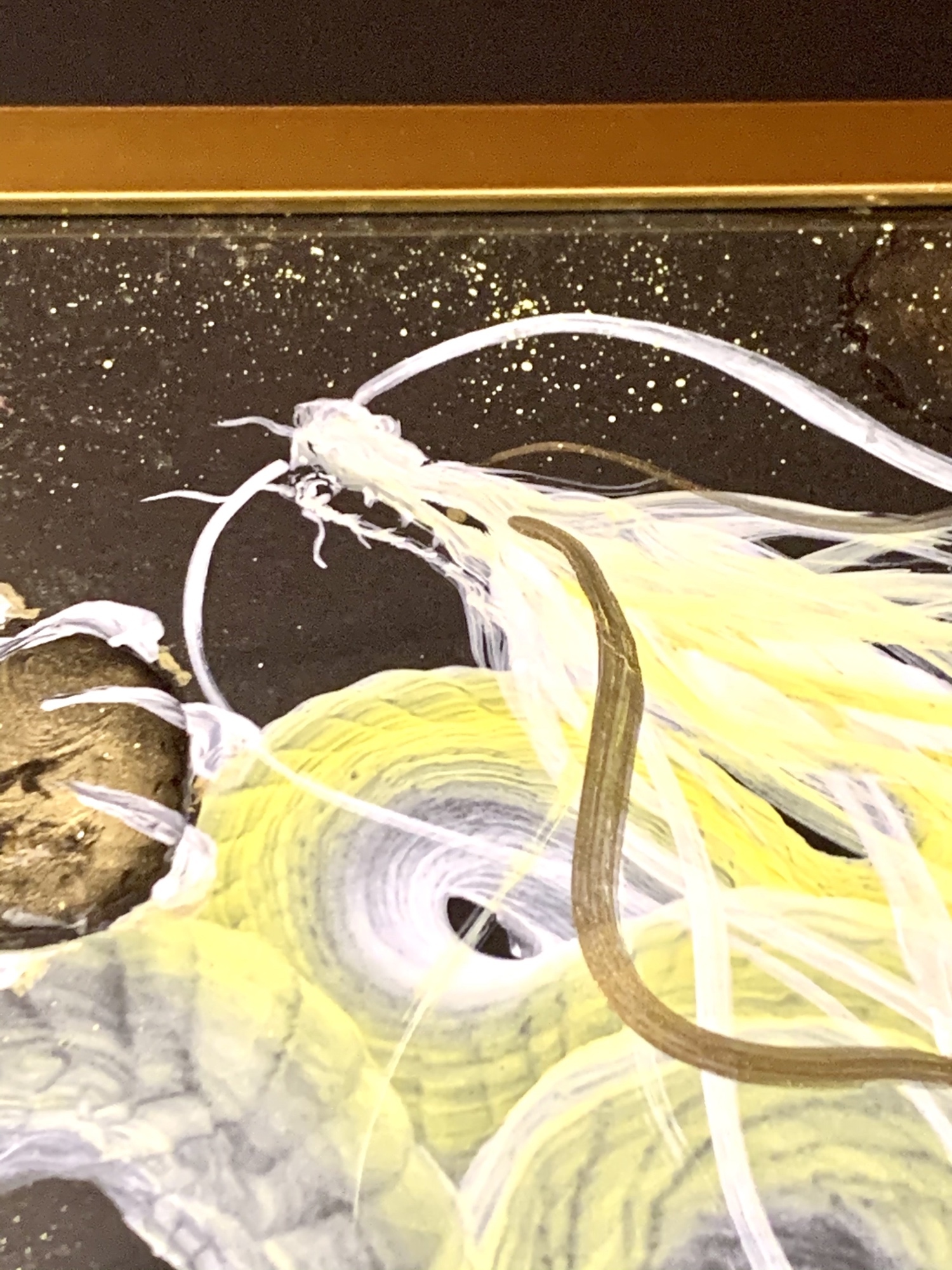 【光龍】　龍神エネルギーアート✨縁起物　一筆龍　隕石 光龍】 龍神エネルギーアート✨縁起物 一筆龍 隕石 - 隕石雑貨な