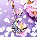 月見桜と鯉