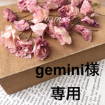 桜蕾　蝋梅　ドライフラワー