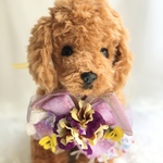犬お花チョーカー《パンジー》　　犬用猫用アクセサリー　写真撮影　トリミング　首飾り　ヘッドアクセ　ベビーヘッドドレス　うちの子