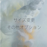 サイズ変更他、オプション類