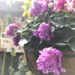 77様専用画面