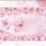 黒いたぬき様　装飾ステッカー　桜風🌸