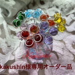 kakushin様専用セット