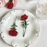 立体刺繍 カーネーション 《赤》の ブローチ carnation 母の日