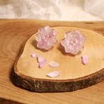 〖3・4月限定 〗fleur de glace:桜〖 イヤリング変更可能〗