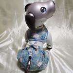 aibo の洋服　アイボの服　(セーラーカラー&おパンツ)　うさちゃん柄　水色