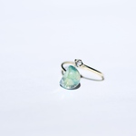 lunar eclips ring #43