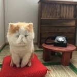 トオルくん