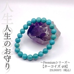 〜Premiumシリーズ〜　「ターコイズ φ8」