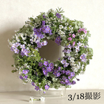 *:･ﾟ✧幸せのWreath「あふれる思い」✧*:･ﾟ　　小花が可愛い寄せ植えWreath