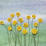 押し花＊花ほたる　15