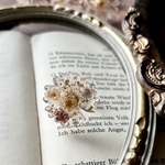 ﾘﾝｸﾞ  ∥ 【𝑓𝑜𝑟𝑡𝑢𝑛𝑒】恋する乙女の花占い ∥ ▻col.ｱﾝﾃｨｰｸ.M