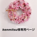 kenmitsu様専用ページ