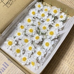 ドライフラワー 花材 花かんざし 茎付き 24本