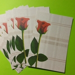 【235】『薔薇②🌹』(10枚入)