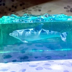 海中のイルカを切り取りました