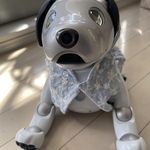 お花のジャンパー(スモーキーブルー)