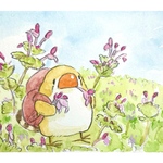 てくてくキンカ　春の蜜