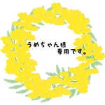 うめちゃん様専用です  他の方のご購入はご遠慮ください。