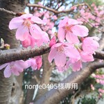 ※送料無料※ ハーバリウムボールペン　専用