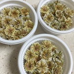 ドライフラワー かすみ草 アースカラー