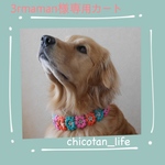 ⭐︎3rmaman様専用カート⭐︎他の方のご購入はお控えください