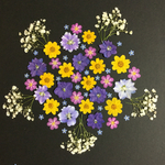 押し花  花便り NO.258