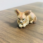 井の頭のウトウトするフェネック🌼