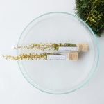 Botanical tube ミモザ