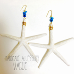 数量限定 : BIG Starfish ☆