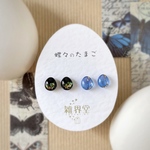 つけっぱなし樹脂ピアス【蝶々のたまご：カラスアゲハとモルフォ蝶】