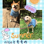熱中症対策ベスト ・中型犬用