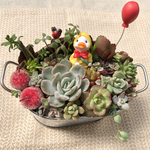 【送料無料】雨を待つレインコートのアヒルちゃん♪多肉植物寄せ植え　フラワーギフト　母の日