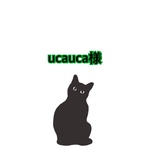 ucauca様専用ページ