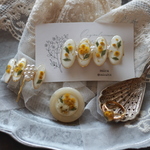 3/25 21:00販売 mimosa accessory 4点set 