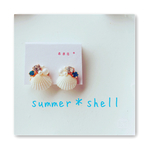 summer＊shell