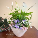 室内用ギャザリング部屋に生きている花をかざりませんか。生きてる花と観葉植物の花束植え。