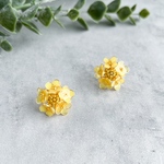 菜の花畑の小さな菜の花のピアス