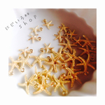 再販【40個】スタフィッシュチャーム♩