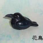 ★ふっくらお座りハシブトガラス★