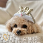 かぶれる兜 正月 こどもの日 初節句 七五三 布兜 1歳 誕生日 犬 猫 うさぎ ベビークラウン 端午の節句 バースデークラウン